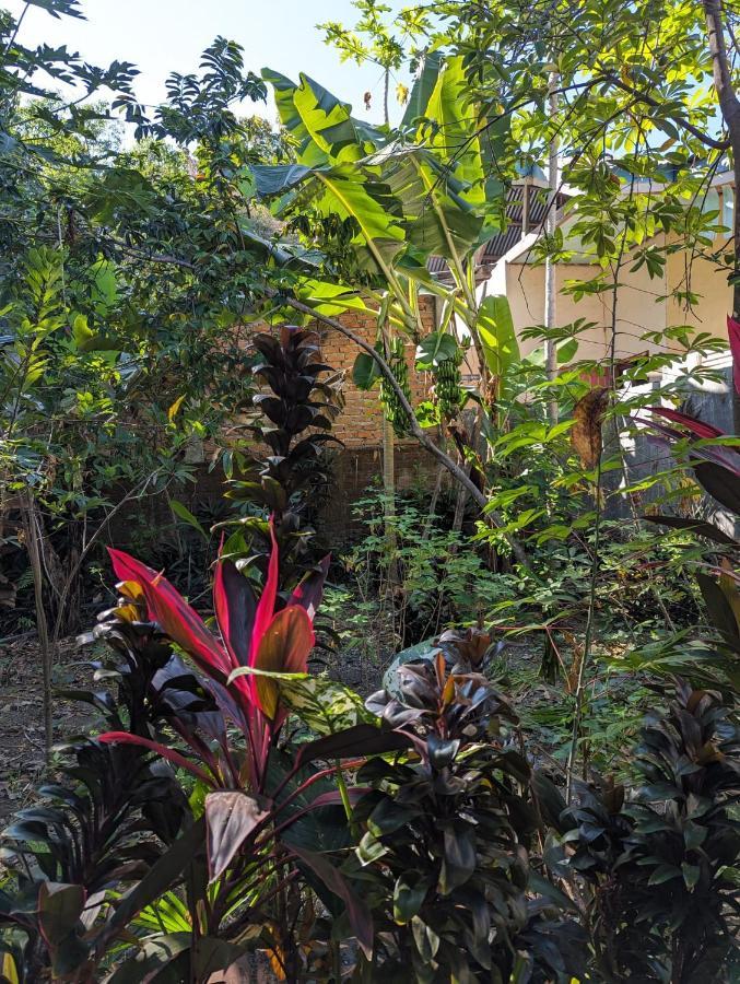 Agus Family Homestay Labuan Bajo Exterior foto